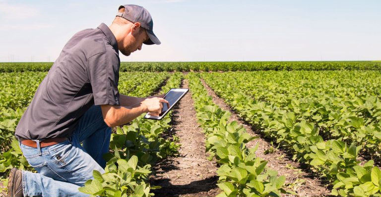 Agricultura 4.0: conheça as principais tendências do futuro do agrobusiness