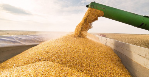 Secagem de grãos: como garantir um menor consumo de combustível?